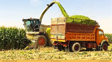 حمل بارهای محلی و روستایی کشاورزی